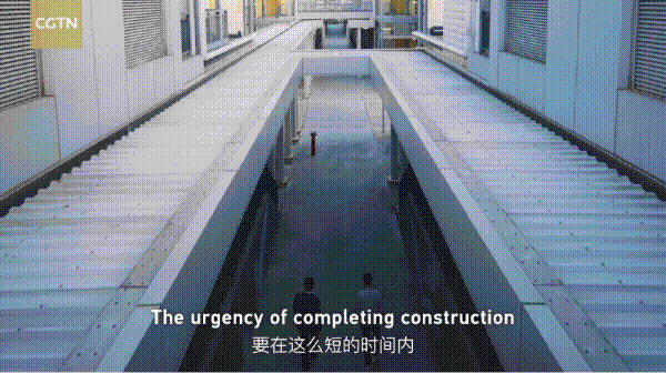 第五集555.gif