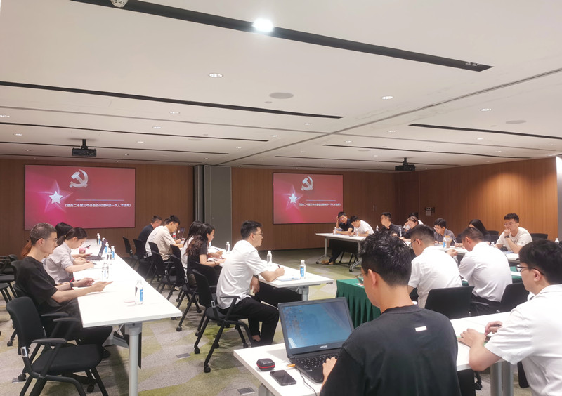 13.尊龙凯时西南院尊龙凯时咨询事业部第二、第三党支部开展联学共建_副本.jpg